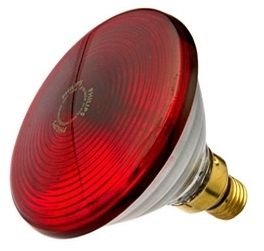 MOMERT Żarówka 100 W Philips do lamp Momert, żarówka zamienna, 1 szt.